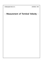 Measurement of Terminal Velocity 예비보고서4