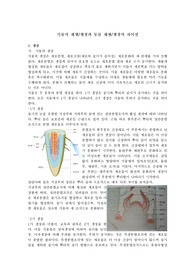 식물 재생/생장과 동물 재생/생장의 차이점