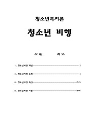 [청소년복지]청소년비행의 개념과유형 특성