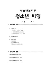 [청소년복지론]청소년비행원과현황