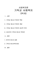 [기독교사회복지론]기독교사회복지론, 기독교 청소년 복지의 특징, 기독교 청소년 복지의 개념, 기독교 청소년 복지의 성서적 의의
