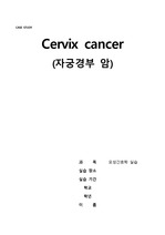 자궁경부암CASE(cx cancer)