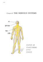 THE NERVOUS SYSTEMS / 핵심단어 / 신경계 /