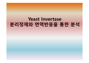 [실험계획서] Yeast Invertase 분리정제와 면역반응을 통한 분석protocol