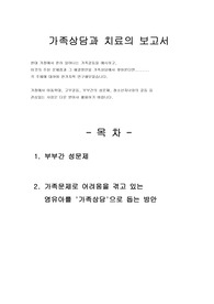[가족상담과 치료의 보고서]부부갈등, 부부간의 성문제, 청소년자녀와의 갈등