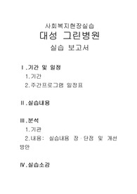 [사회복지현장실습]대성그린병원, 실습일지