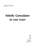 응급실 ER 케이스 열성경련  Febrile Convulsion  간호과정 사례연구
