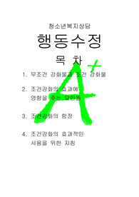 [프리미엄자료][청소년복지상담]행동수정, 무조건 강화물, 저건강화의 효과, 조건강화의 함정, 조건강화의 효과적인 사용