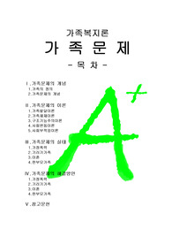 [가족복지론]가족문제, 가족문제의 개념, 가족문제의 이론, 가족문제의 실태, 가족문제의 해결방안,