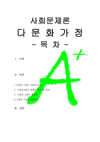 [A++++프리미엄자료][사회문제론][다문화가정, 다문화 가정의 개념, 다문화 가정의 정의, 다문화 가정의 문제점