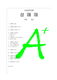 [A+++프리미엄자료][사회문제론]성매매, 성매매와 매매춘, 성매매의 유형, 성매매의 발생원인, 성매매의 현황, 성매매의 실태, 성매매로 인한 문제점, 성매매특별법, 성매매예방및대