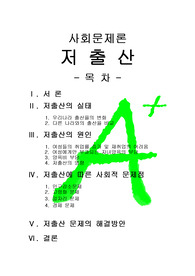 [A+++프리미엄자료][사회문제론]저출산, 저출산의 실태, 저출산의 원인, 저출산에 따른 사회적 문제점, 저출산 문제의 해결방안
