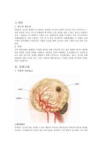 Cerebral Infarction 뇌졸증 뇌경색 case stduy 