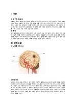 Cerebral Infarction 뇌졸증 뇌경색 case stduy (A+받은자료)