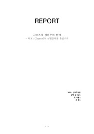 자포스(zappos) 경영 전략 보고서 (A+ 자료)