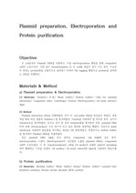 Plasmid preparation, Electroporation and Protein purification.