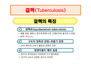 결핵(Tuberculosis)