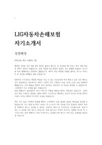 LIG 자동차손해보험 합격 자기소개서(최신)