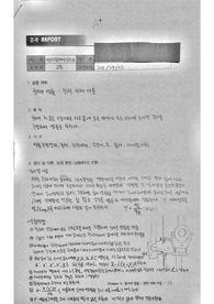 철사의 영률 광학 지레 이용