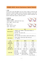 여성간호학 모성간호학 자연분만 케이스 스터디(문헌고찰, 흡인만출, 간호진단 등 포함)