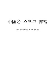 중국 스모그 비상