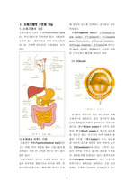 소화기계 구조와 기능