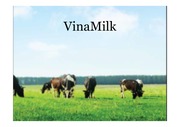 Vina Milk - 비나 밀크