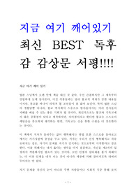 지금 여기 깨어있기 독후감 감상문 서평 법륜!!!!