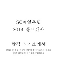 2014 sc제일은행 홍보대사 합격 자소서