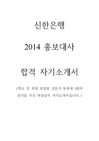 2014 신한은행 대학생 홍보대사 합격 자기소개서