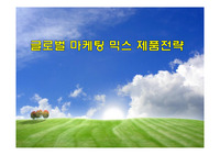 글로벌 마케팅 믹스 제품전략