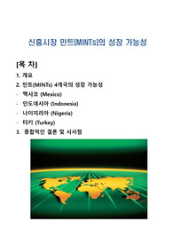 신흥시장 민트(MINTs)의 성장 가능성
