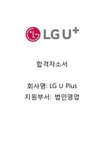 LG U Plus  법인영업지원 - 서류&면접 합격 자소서
