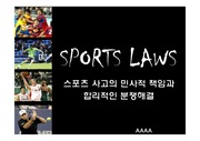 스포츠 사고의 민사적 책임과 합리적 분쟁
