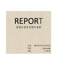 동영상 압축 포맷의 동향