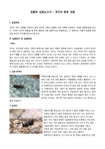 서울대 생물학실험1 개미 보고서!! 사진첨부, 디스커션도 꼼꼼하게 정리한 알찬 보고서