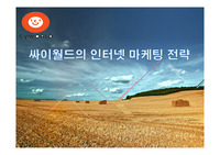 싸이월드의 인터넷 마케팅 전략