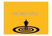 프로파일링(Profiling)