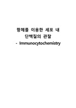 항체를 이용한 세포 내 단백질의 관찰-immunocytochemistry