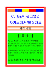 CJ E&amp;M 광고영업(영업관리, 영업사원) 자기소개서 및 면접족보, 채용정보, 합격스펙
