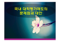 국내 대학평가제도의 문제점과 대안