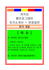 카카오 웹프로그래머(청년인턴) 합격자기소개서 및 면접족보, 채용정보, 합격스펙