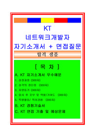 KT 네트워크개발자(IT개발) 자기소개서, 경험기술서(경력기술서), 면접족보