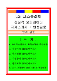 LG디스플레이 생산직(생산기술직) 자기소개서 및 면접후기