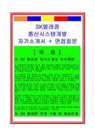 [추천][합격 자기소개서] 2019 SK텔레콤 IT(네트워크, 통신시스템개발, 솔루션기획개발) 합격자기소개서, 네트워크 합격자소서, IT분야 합격자기소개서, 면접족보