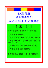 [추천][합격 자기소개서] 2019 SK텔링크 방송기술분야 자기소개서, 방송기술직 합격 자기소개서, 방송분야 합격자소서, 지원동기, 성장과정, 면접족보 등 포함