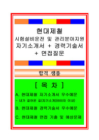 [추천][합격 자기소개서] 2019 현대제철 시험설비운전(품질관리) 합격자기소개서, 시설운전직 합격자소서, 경력기술서, 면접후기