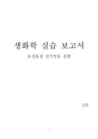 생화학개론 레포트 : 유전물질 전기영동 실험