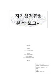사회복지실천기술론-성격유형분석보고서