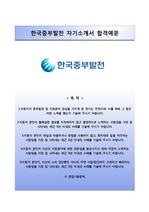 [한국중부발전자기소개서] 한국중부발전 인턴사원 합격자소서와 면접족보
